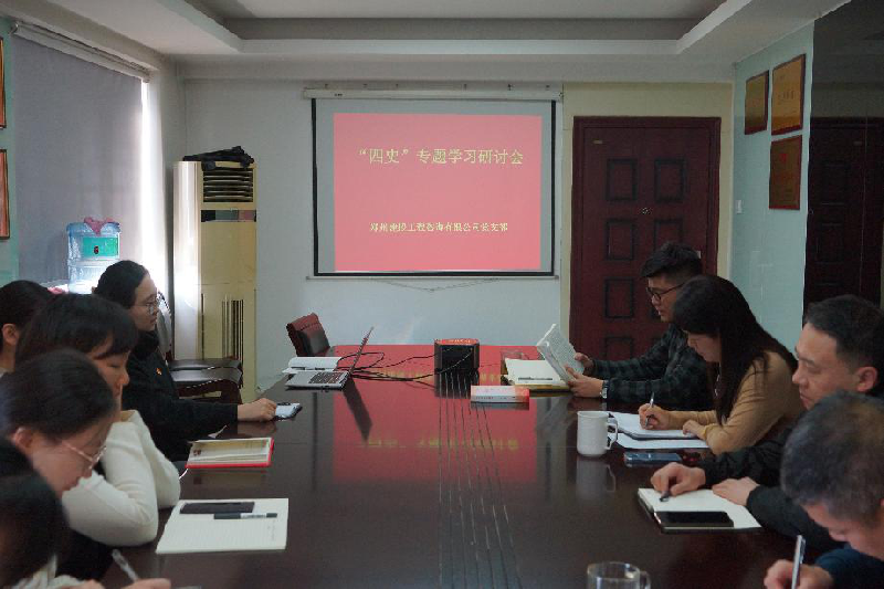 咨询团支部召开“四史”学习教育专题研讨会