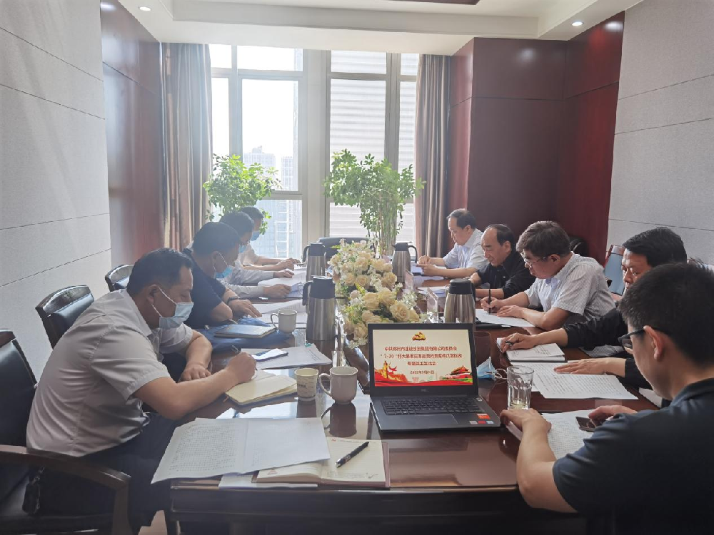 dcbox小金库官网党委领导班子召开“7·20”特大暴雨灾害追责问责案件以案促改专题民主生活会