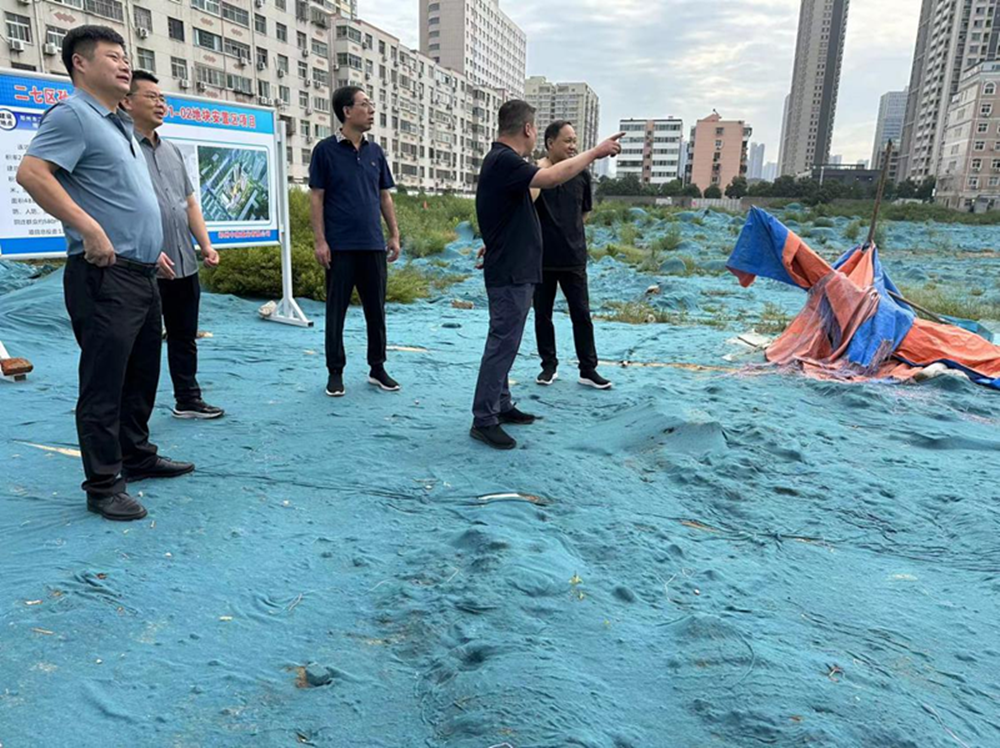 dcbox小金库官网党委委员、副总经理张岩到侯寨新镇区安置区调研项目建设工作